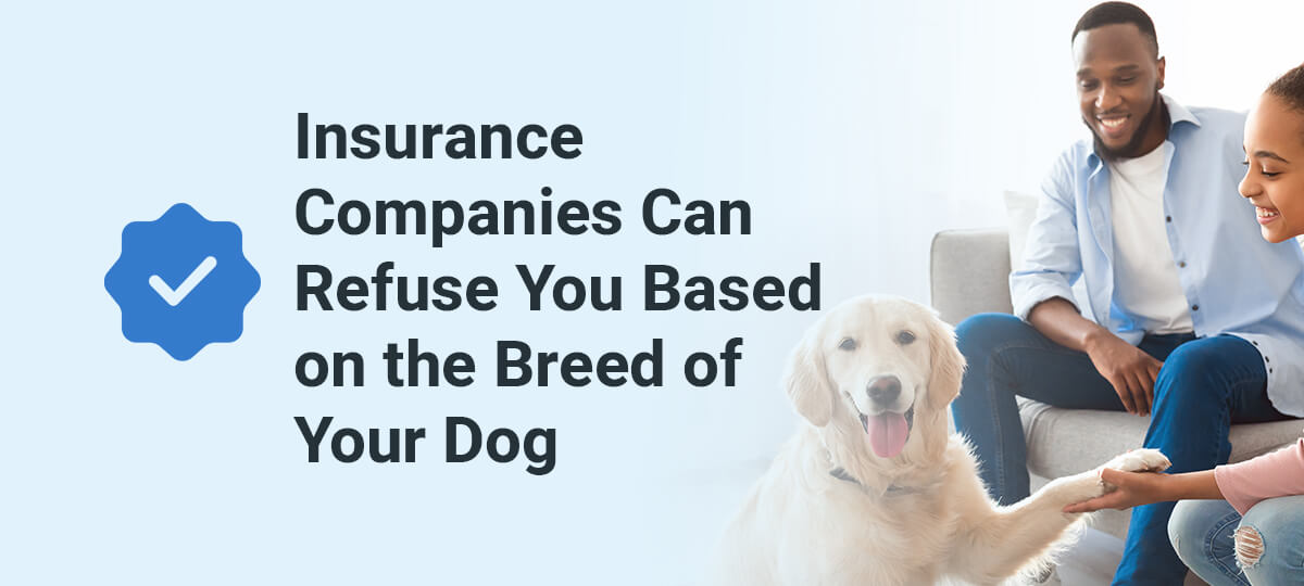 FACT: Insurance Companies Can Refuse You Based on the Breed of Your Dog