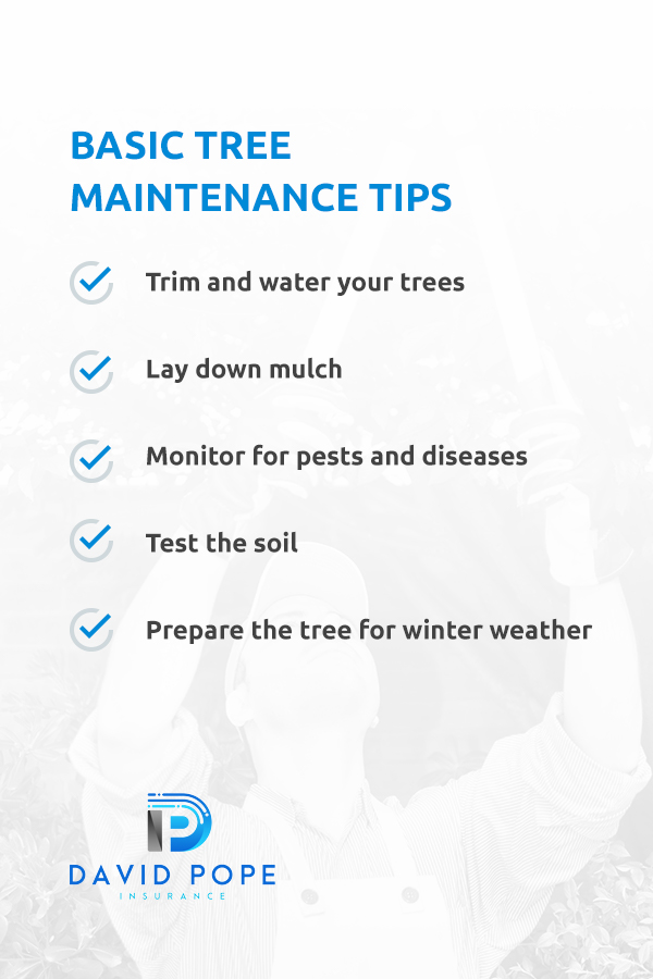 Tree Damage and Claims