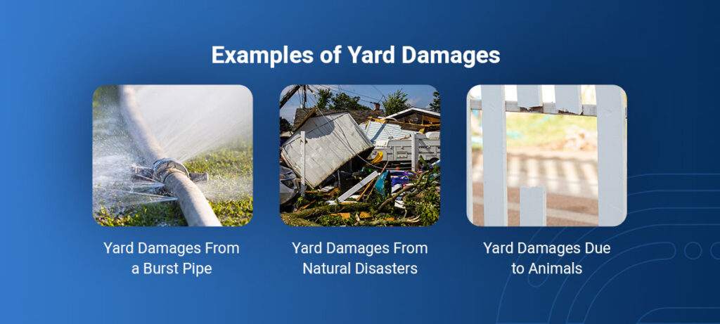 Does Home Insurance Cover Yard Damages?